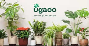 Ugaoo logo